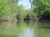 water-cam-053