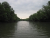 water-cam-161