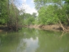 water-cam-224
