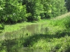 water-cam-341