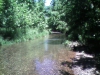 mill-creek-stream-wild-trout