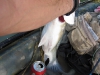 hybrid-bass-big-pig-7