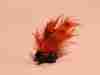 shafted-backstabbers-carp-fly-20