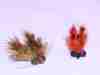 shafted-backstabbers-carp-fly-5