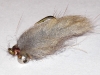 muskrat-carp-bunny-carp-fly-5