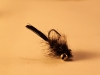 turkey-tail-carp-bugger-2