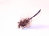 turkey-tail-carp-bugger-5
