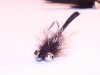 turkey-tail-carp-bugger-6