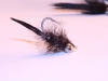 turkey-tail-carp-bugger-8